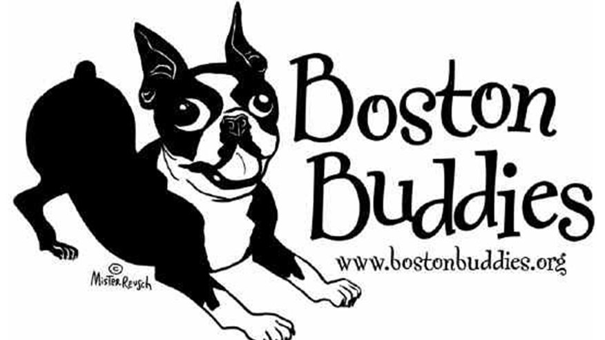 Boston Buddies