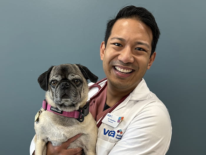 Dr. John Abadines Staff Photo
