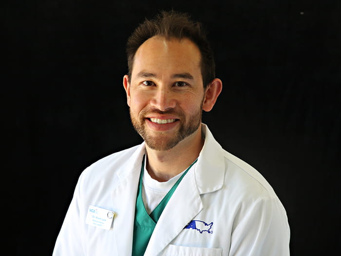 VCA Lewelling Animal Hospital | Staff Page