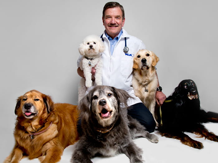 VCA Marina Bay Cities Animal Hospital | Staff Page