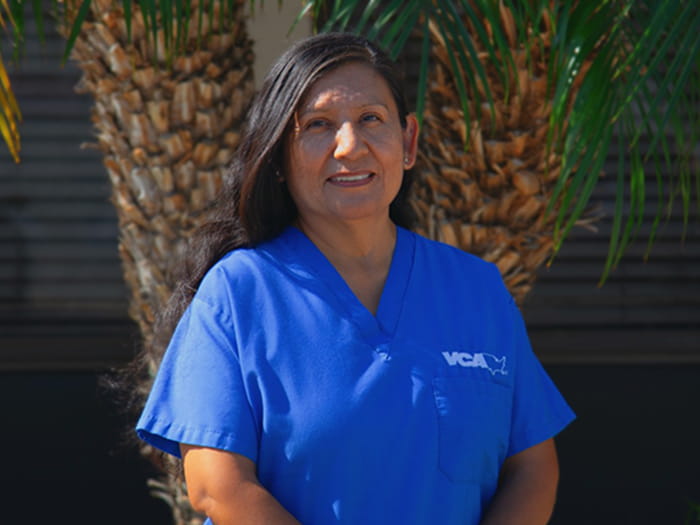 Elizabeth D. Staff Photo