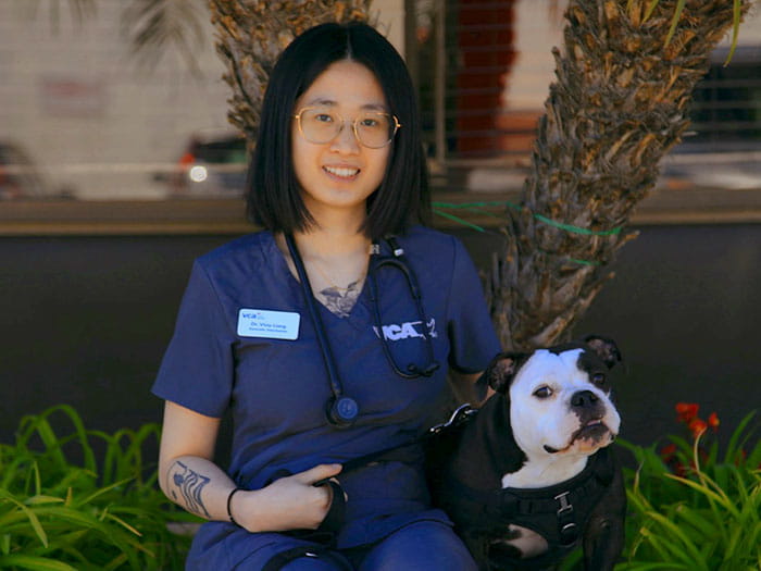 Vivia Liang Staff Photo