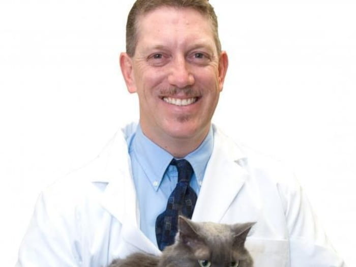 Mesa - Thomas Pierce