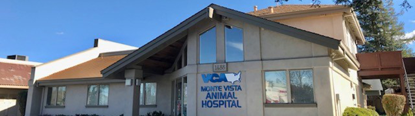 /-/media/2/vca/images/hospitals/united-states/california/monte-vista/galleries/1440x405_monte-vista_hospital.ashx