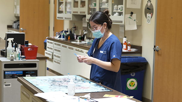 Veterinary staff at VCA Mueller