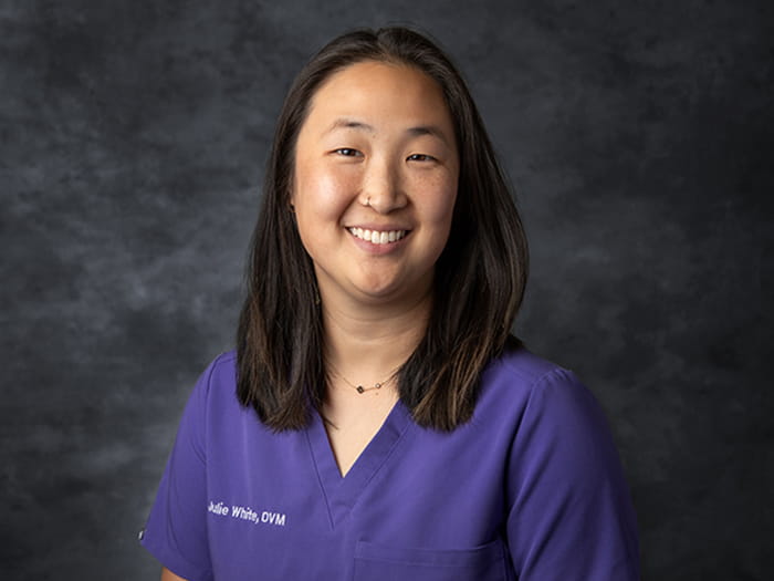 Dr. Julie White Staff Photo