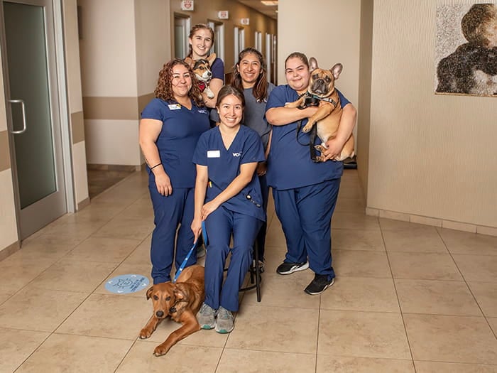 VCA Mueller Veterinarian Support Team