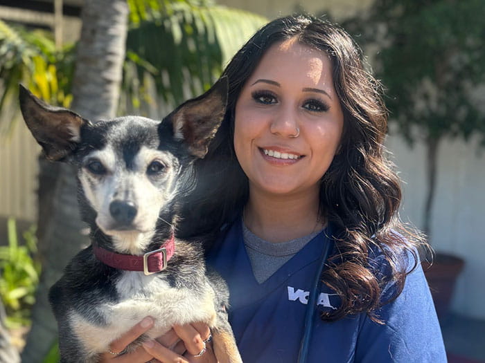 Anabella Staff Photo