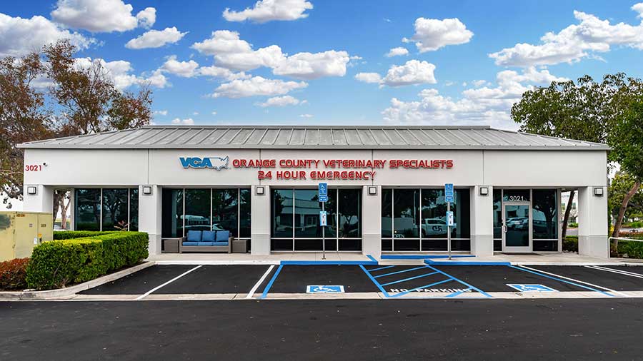 Exterior Photo of VCA Orange County Veterinary Specialists Animal Hospital