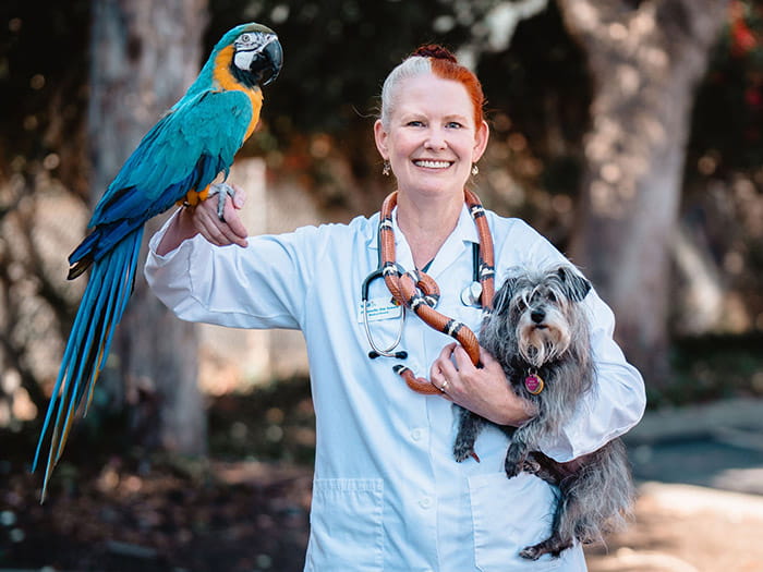 Jennifer Seward Staff Photo