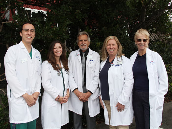 VCA Peninsula Veterinarians Team