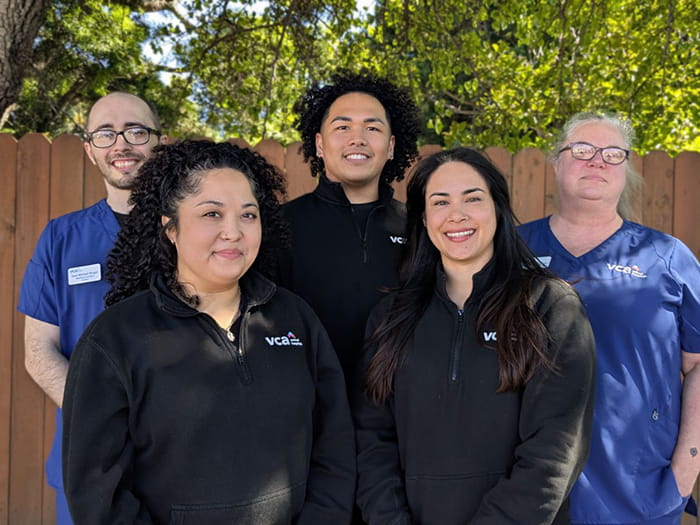 VCA Peninsula Veterinarian Support Team