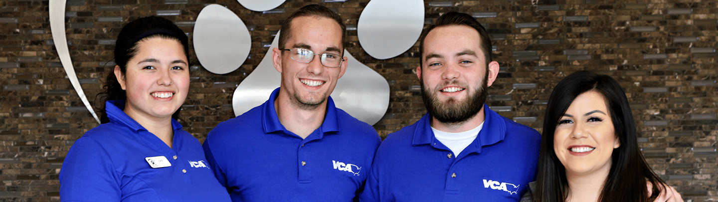 /-/media/2/vca/images/hospitals/united-states/california/petcare-east/staff/1440x405_petcare-east_ourteam.png?rev=8be710be9107475c9876851c5babaf8f