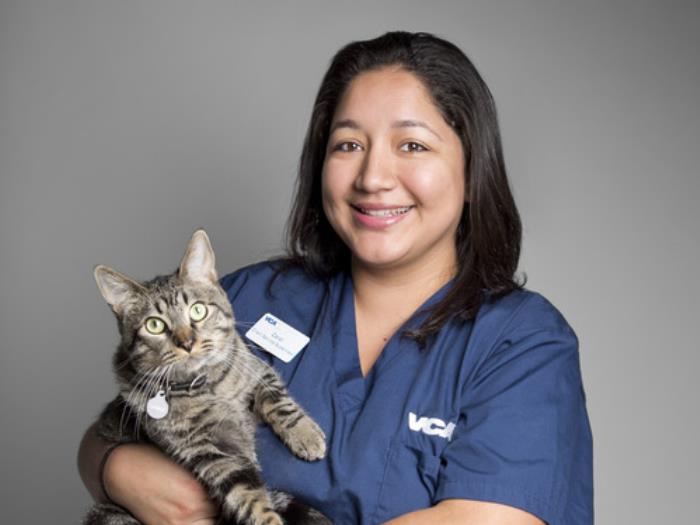 VCA Rancho Mirage Animal Hospital | Staff Page