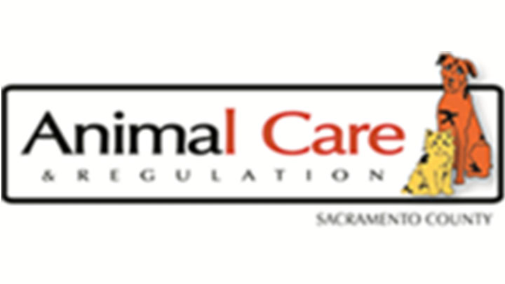 Sacramento County Animal Care And Regulation