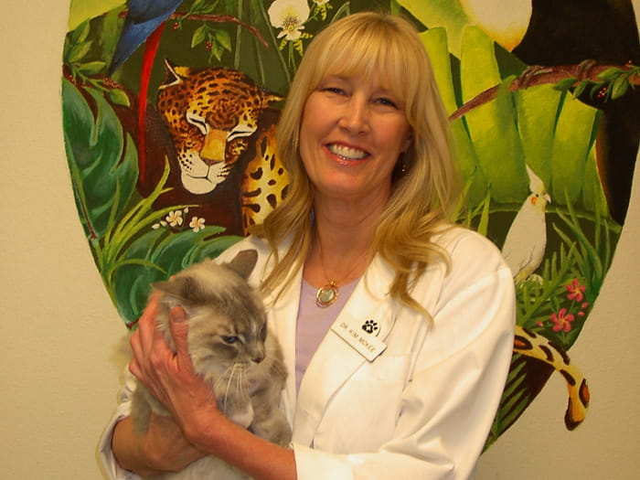 700x525 santa margarita KimMcKee