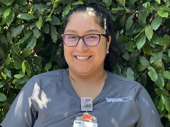 VCA TLC Pasadena Veterinary Specialty and Emergency Staff Page