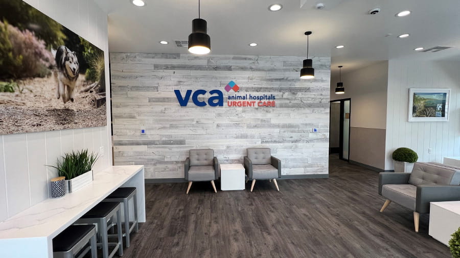 Photo Gallery VCA Hospitals Urgent Care Laguna Niguel, CA