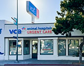 VCA Urgent Care - Mar Vista Exterior Photo