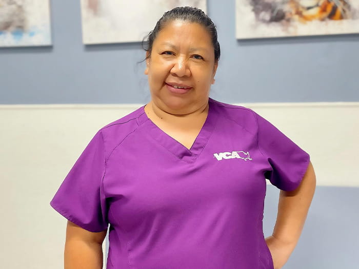 VCA Venture Animal Hospital Staff Page