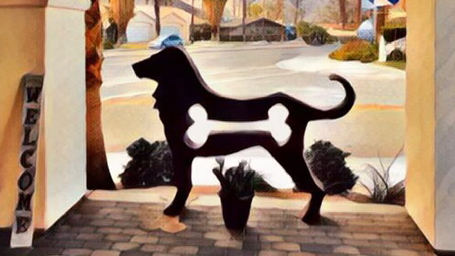 Welcome to VCA Village Park Animal Hospital