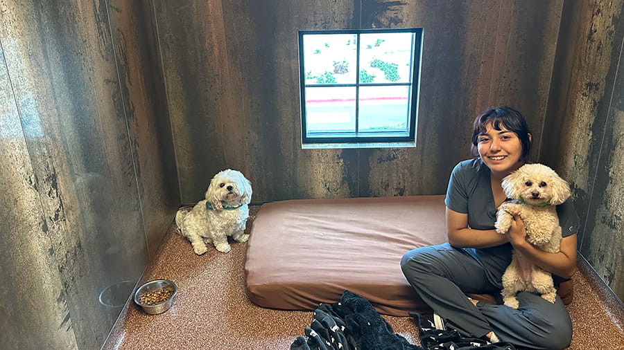 Dog boarding area at VCA Village Park Animal Hospital