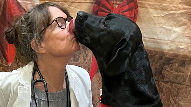 VCA Village Park veterinarian with dog