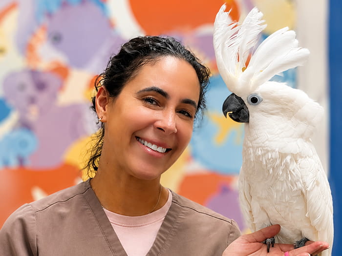 Dr. Bethan Nitzsche Staff Photo