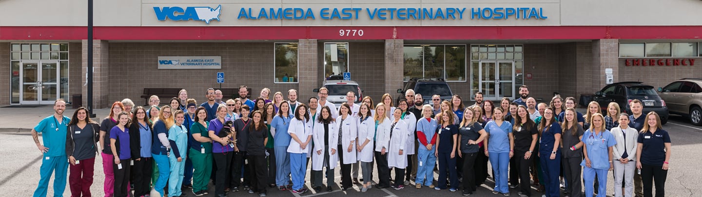 VCA Alameda East Veterinary Hospital  Staff Page