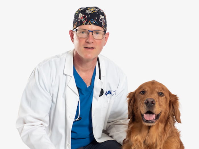 Shop alameda east vet Store