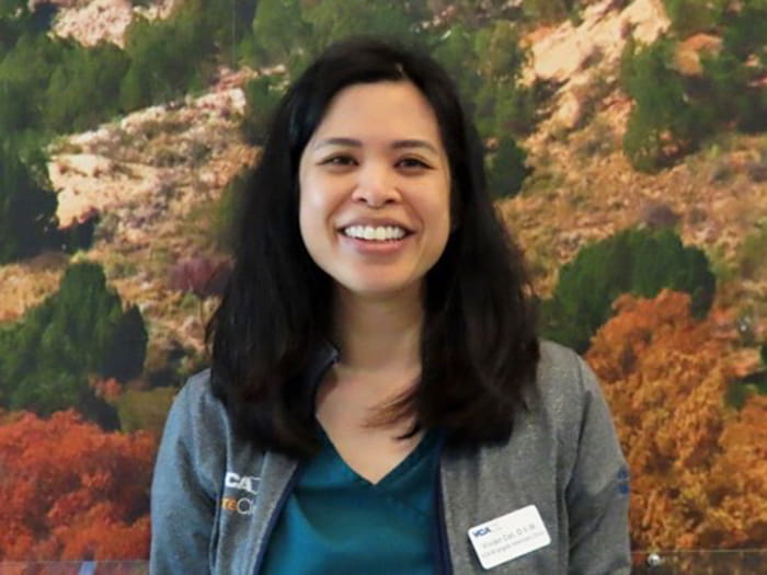 Dr. Vivian Cat Staff Photo