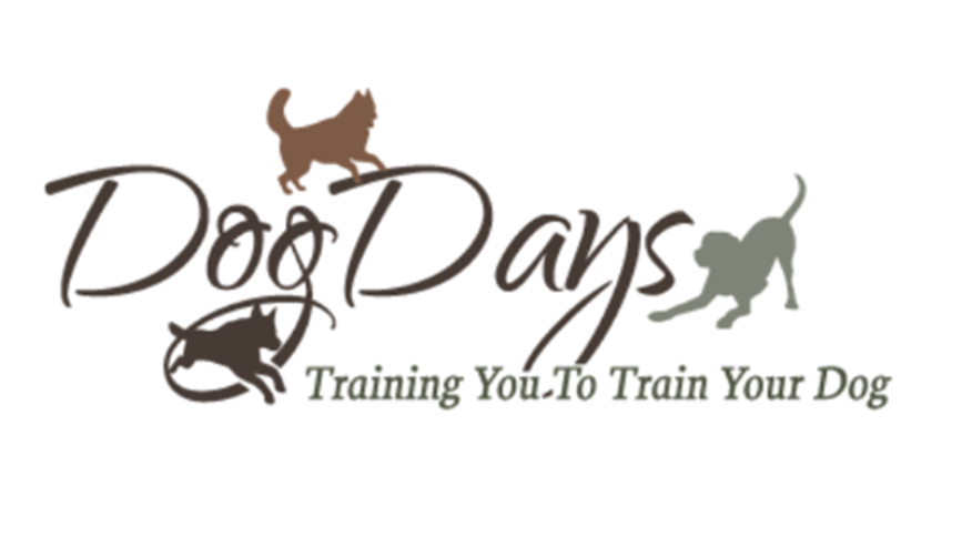 876x493 centennial valley CommunityPartner DogDays