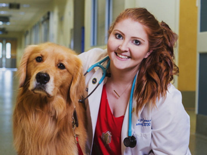 Dr. Katelyn Jones Staff Photo