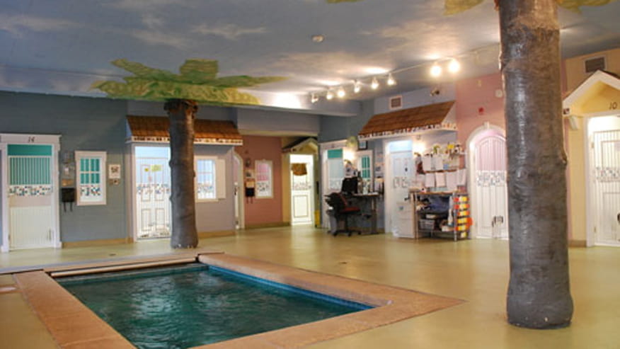 876x493 deer creek littleton boarding