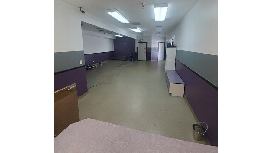 VCA Mountainview Animal Hospital & Pet Lodge - Indoor Boarding Play Room
