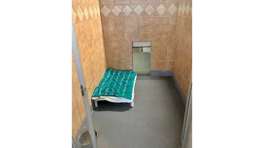 Dog Boarding Services in Highlands Ranch, CO VCA Mountainview Animal