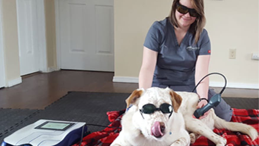 876x493 tiara rado coldlaser