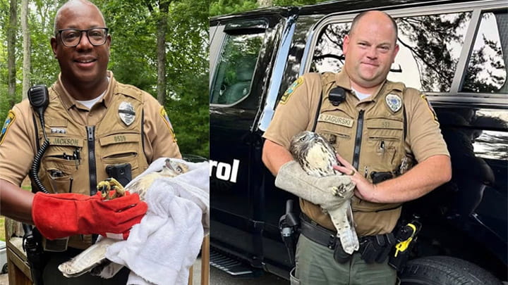 Bristol Animal Control
