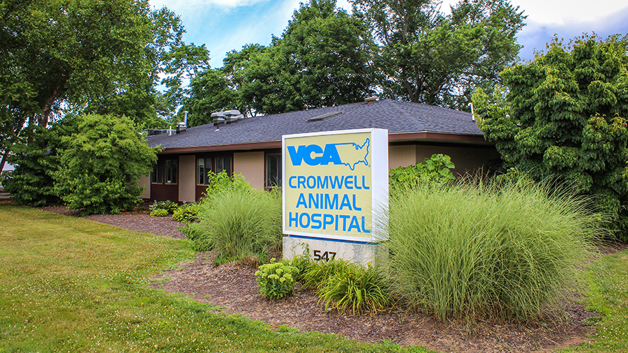 Map Picture of VCA Cromwell Animal Hospital