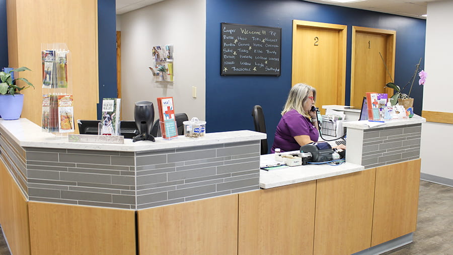 Photo of VCA Cromwell Animal Hospital Lobby