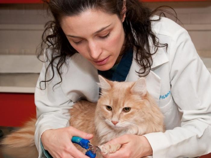 vca-plainfield-animal-hospital-staff-page