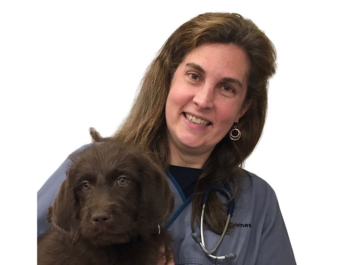 Dr. Annie Downes Staff Photo