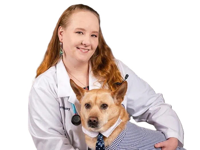 Dr. Ashley Tinsley Staff Photo