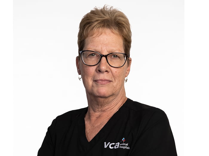 Dawn Anderson Staff Photo