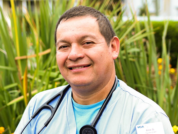 Alex Giron Staff Photo