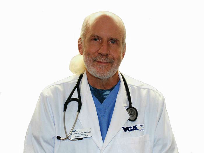 Dr. Harlan Gustafson
