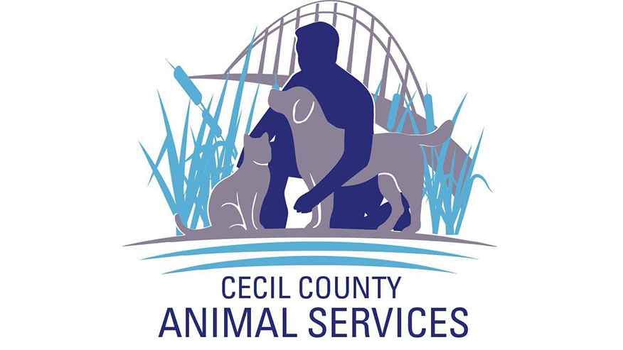 Visit the Cecil County Animal Shelter
