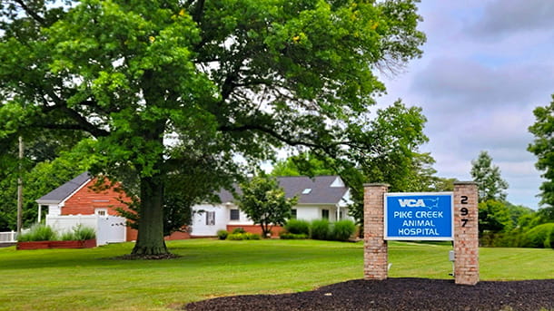Exterior Picture of VCA Pike Creek Animal Hospital