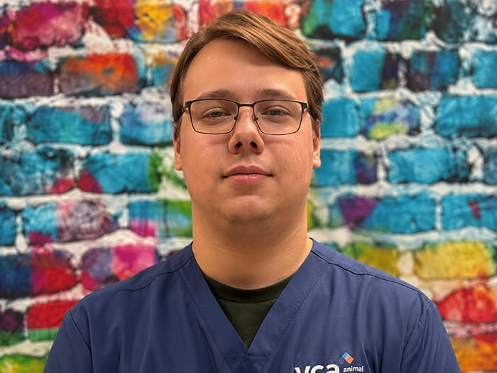 Noah Staff Photo