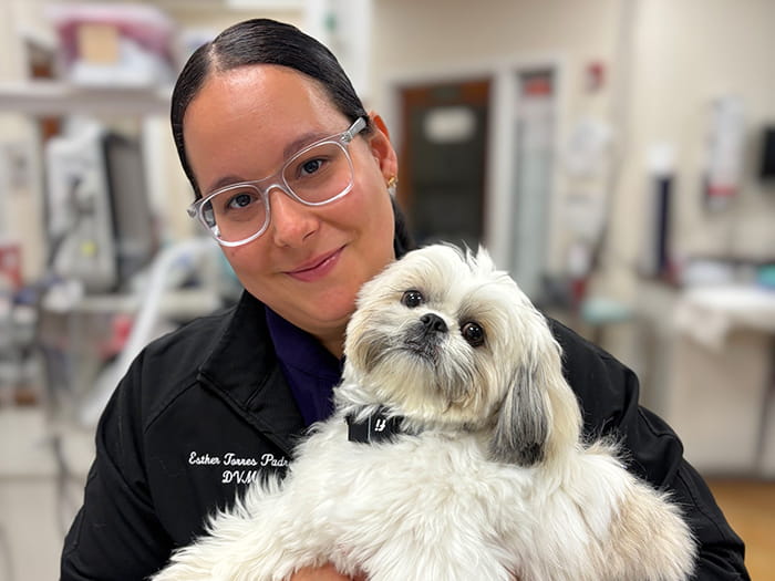 Dr. Esther Torres Padro Staff Photo